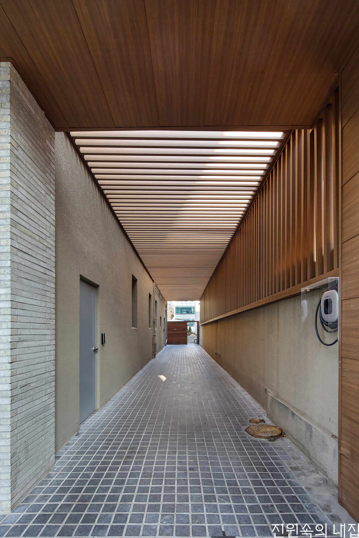 7W3A5982-2 copy.jpg