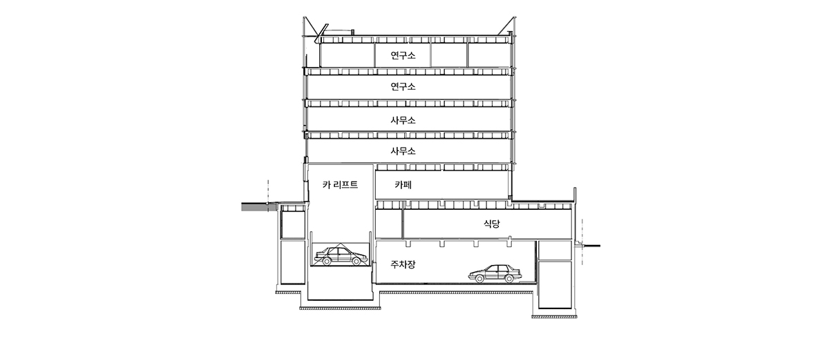 section.jpg