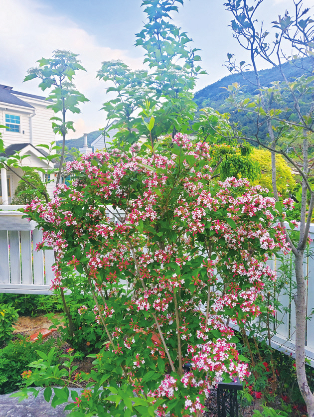c_112-117 이야기가있는정원 8_대구겨울정원_-014.jpg