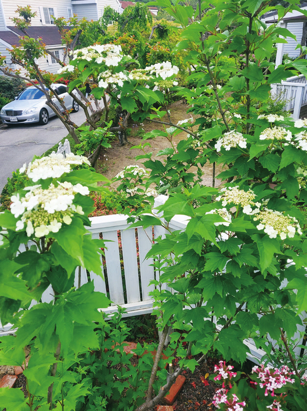c_112-117 이야기가있는정원 8_대구겨울정원_-015.jpg