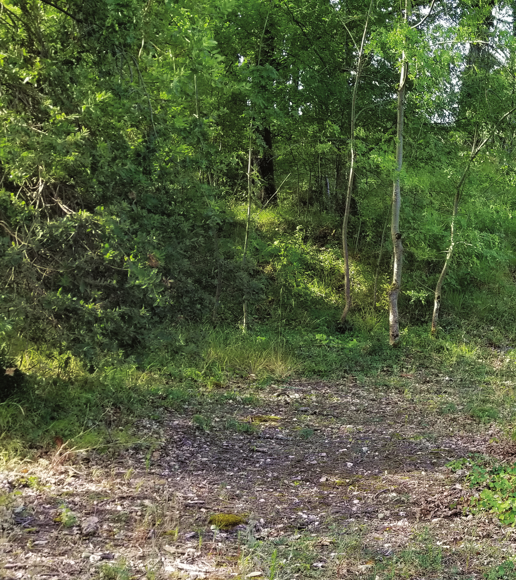 c_108-111 곽데오도르_프랑스정원에세이_-000.jpg