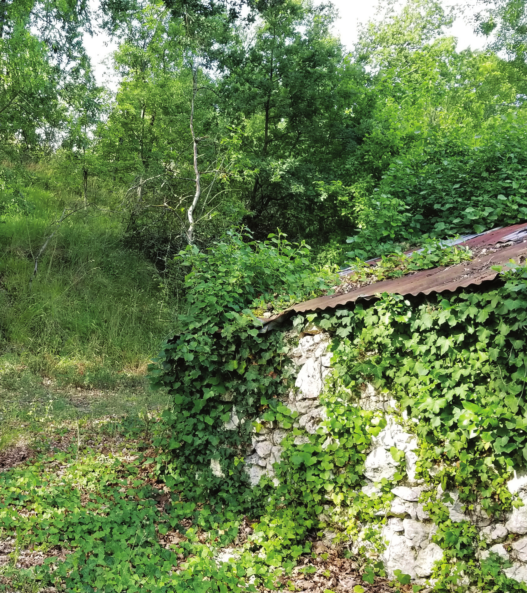 c_108-111 곽데오도르_프랑스정원에세이_-004.jpg