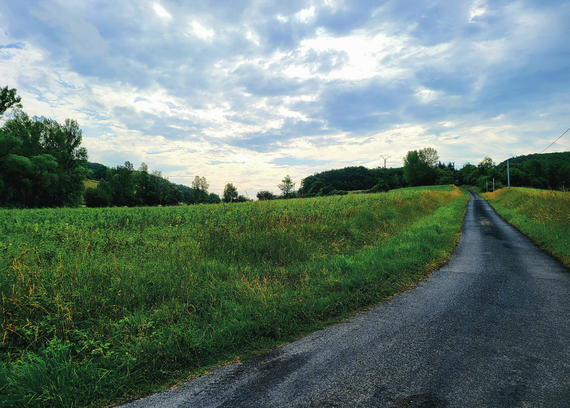 c_108-111 곽데오도르_프랑스정원에세이_-012.jpg