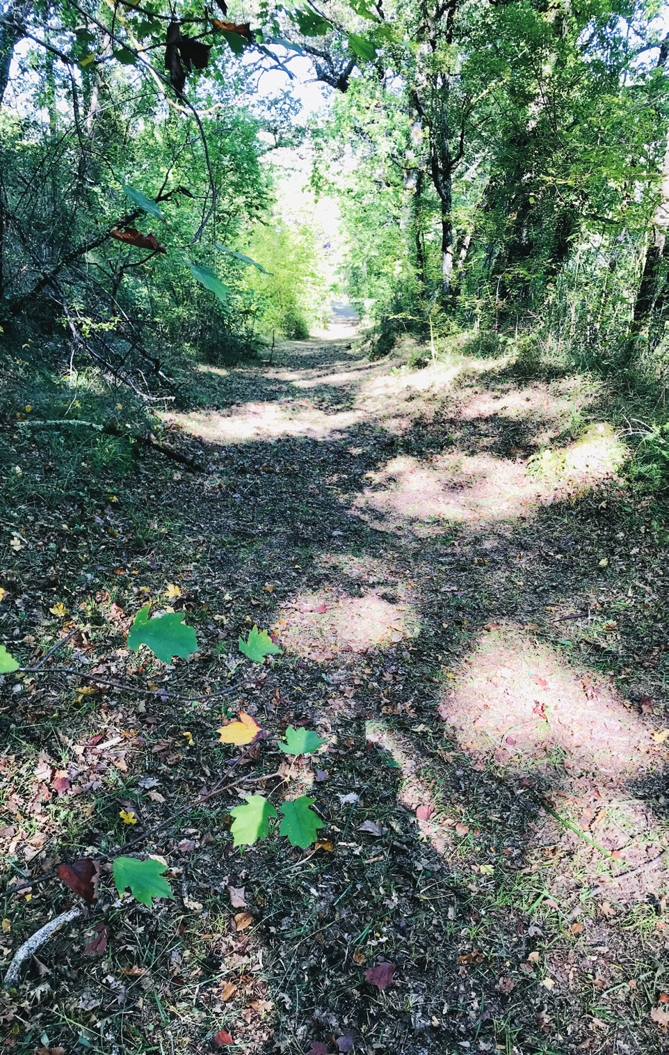 c_108-111 곽데오도르_프랑스정원에세이_-016.jpg