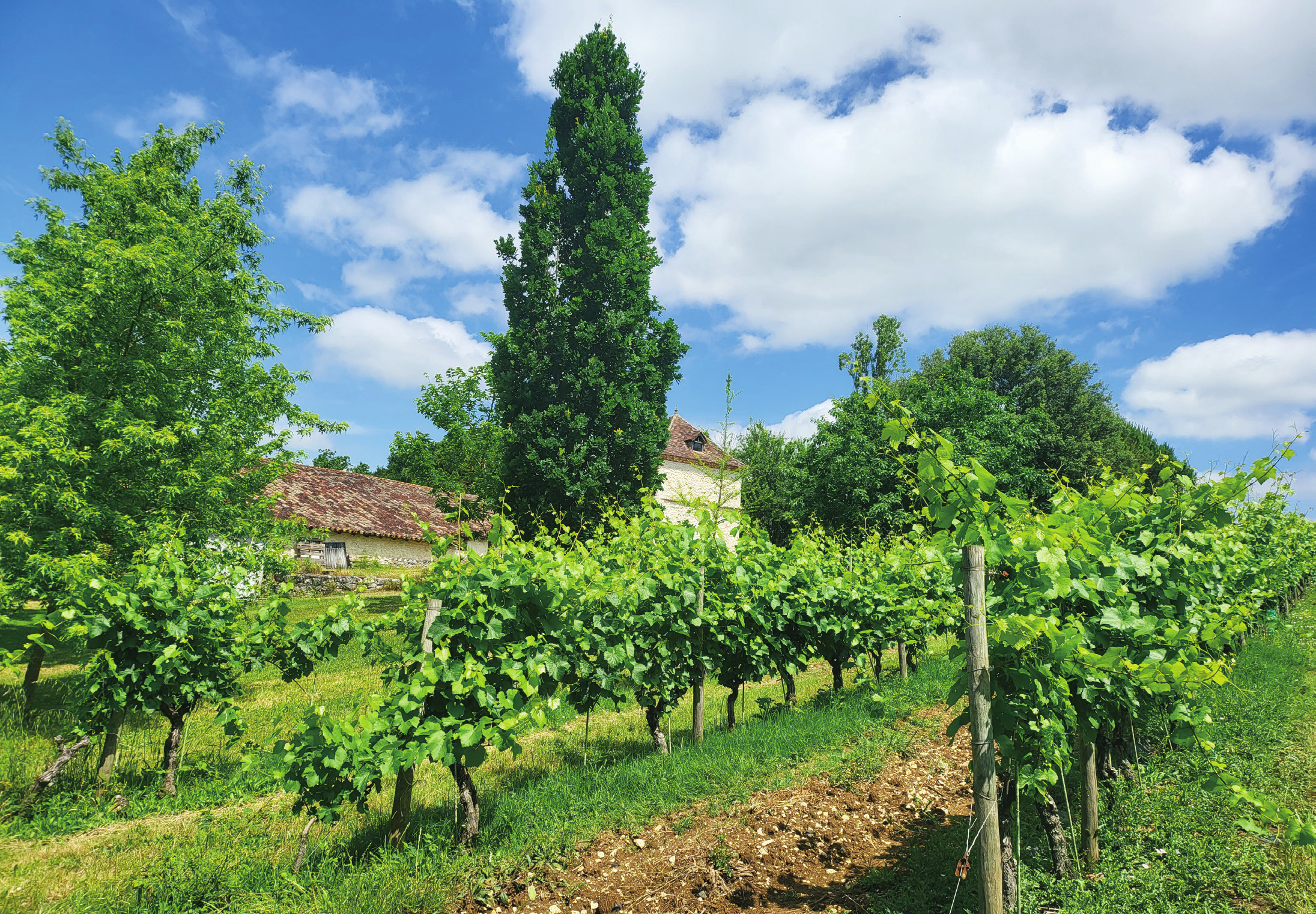 c_108-111 곽데오도르_프랑스정원에세이_-015.jpg