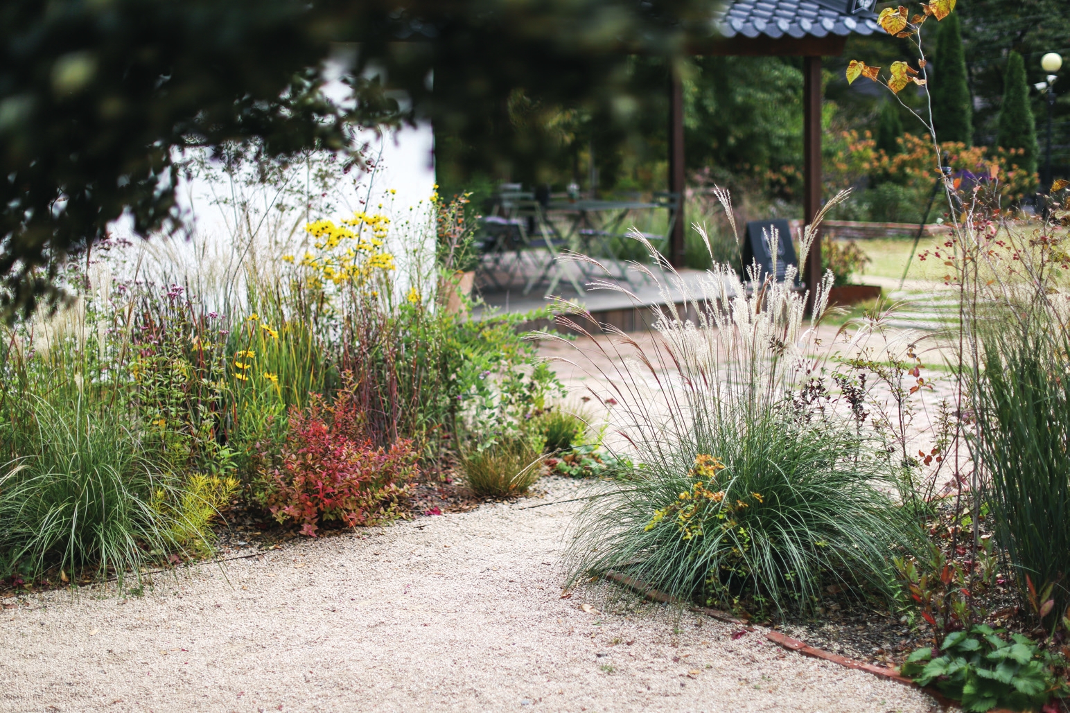 c_120-123 사계절정원_대구 오퐁드부아_-003.jpg