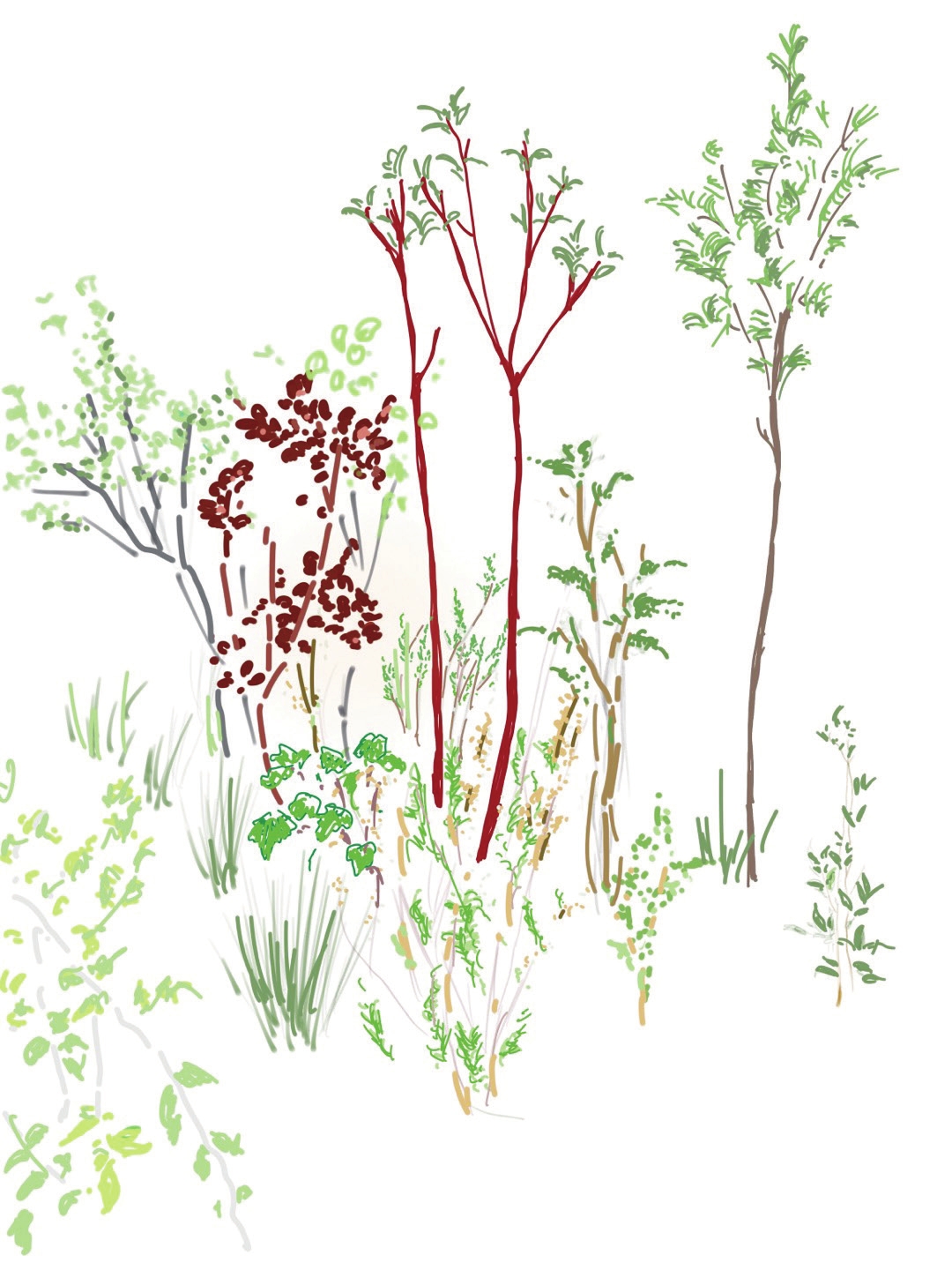 c_120-123 사계절정원_대구 오퐁드부아_-005.jpg