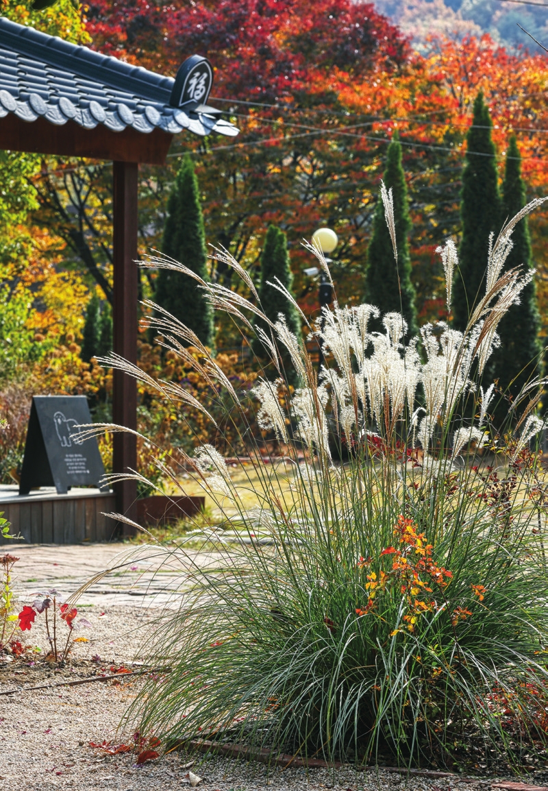 c_120-123 사계절정원_대구 오퐁드부아_-014.jpg