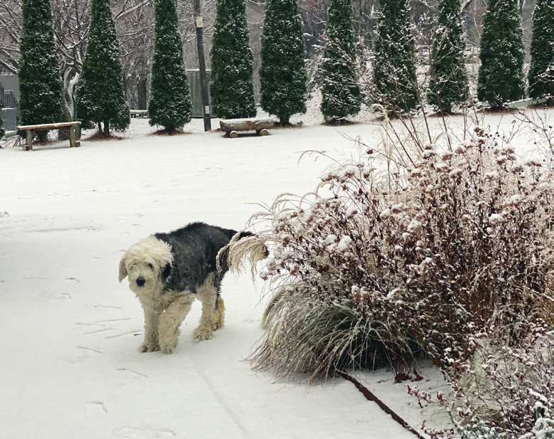 c_120-123 사계절정원_대구 오퐁드부아_-016.jpg