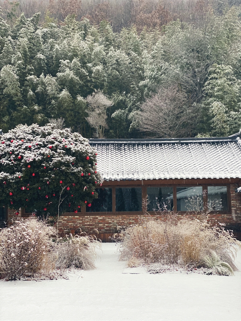 c_120-123 사계절정원_대구 오퐁드부아_-015.jpg