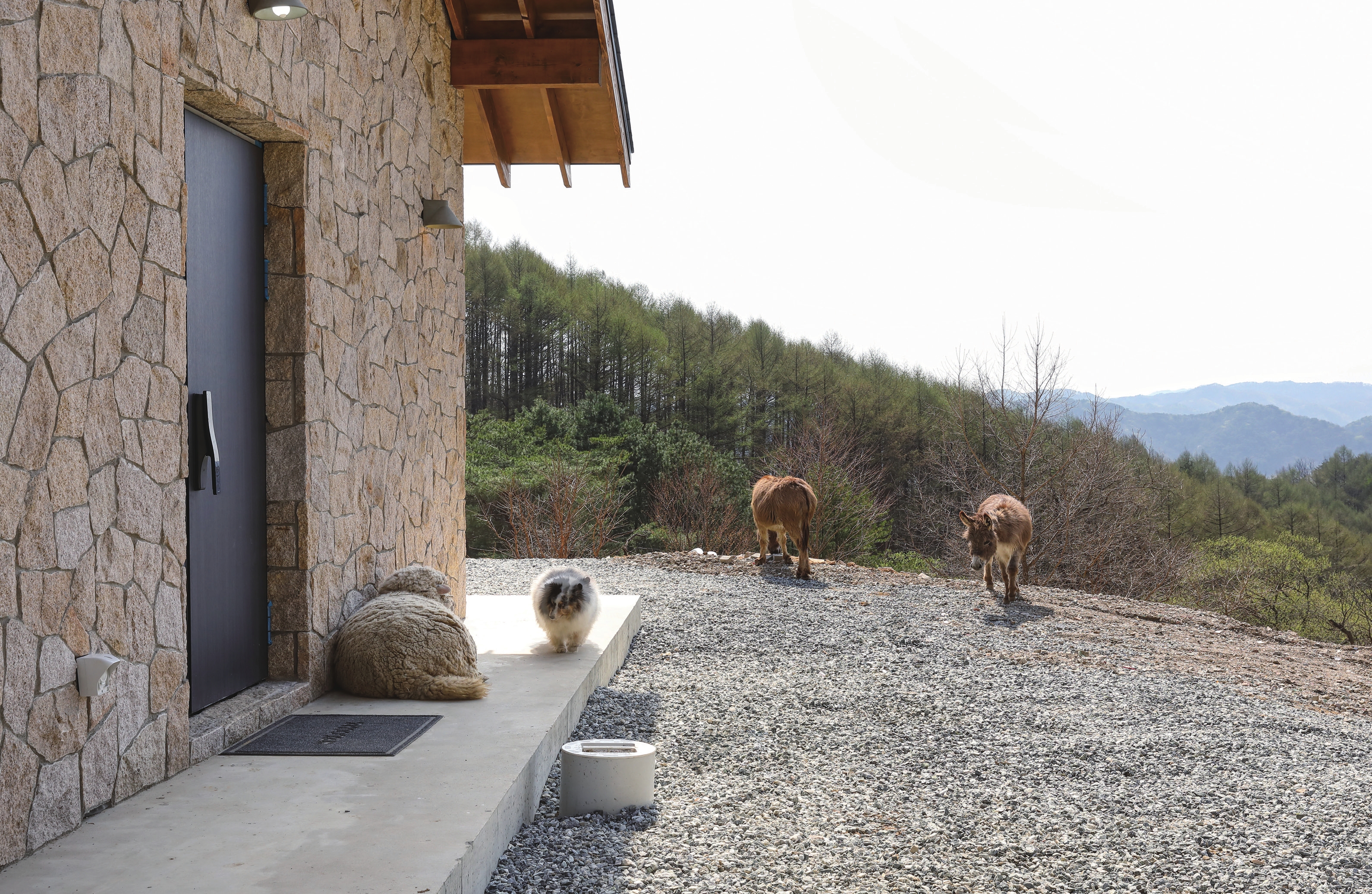c_060-067 김줄스홍천주택_화신세라믹(8p)-4_-017.jpg